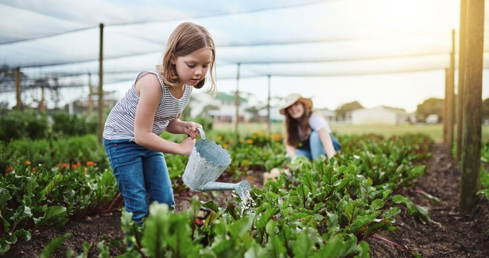 Agricultural Services